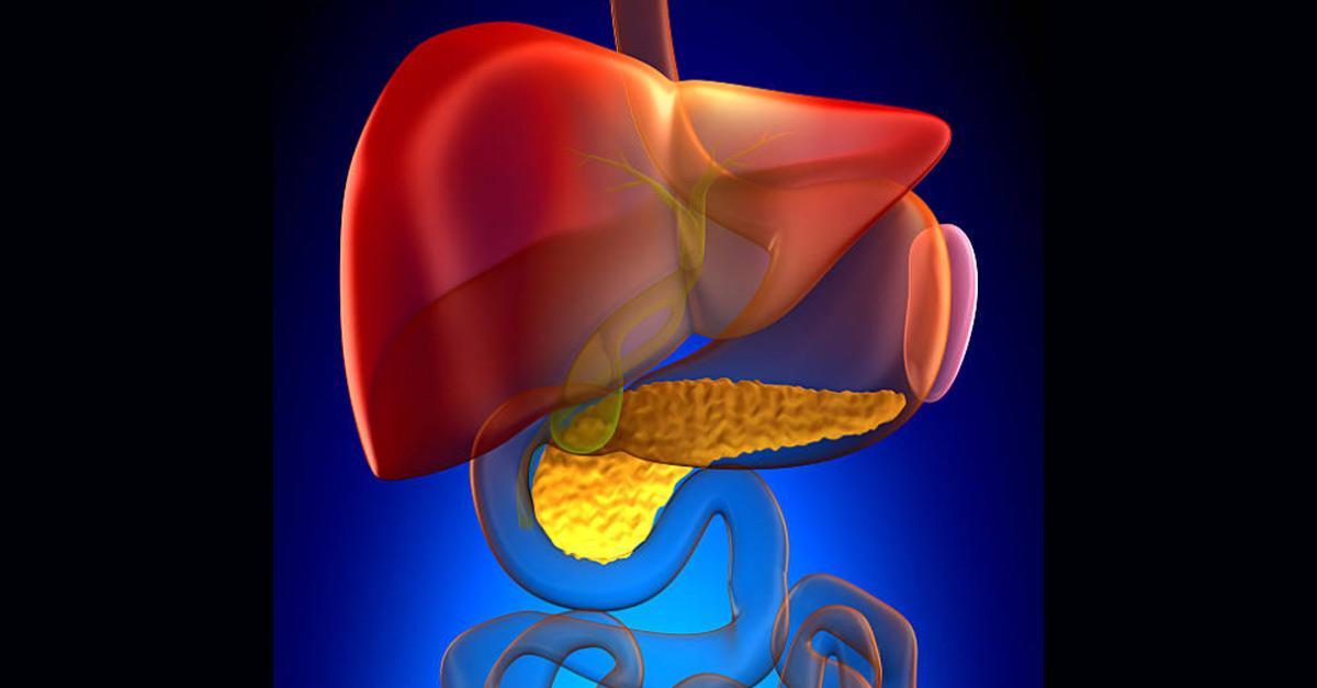 他膽囊切除後只喝水、吃水果　醫：過度節食反而影響復原